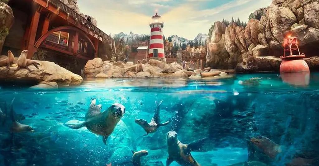 Dive With Fun: One Or Two Park Pass With Abudhabi Tour At Rs Tourism! National Deal activities Shop Online at Dubai Trades 8