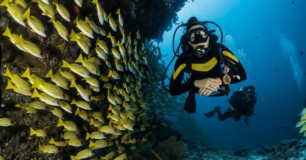 Diving Dubai activities Shop Online at Dubai Trades 3