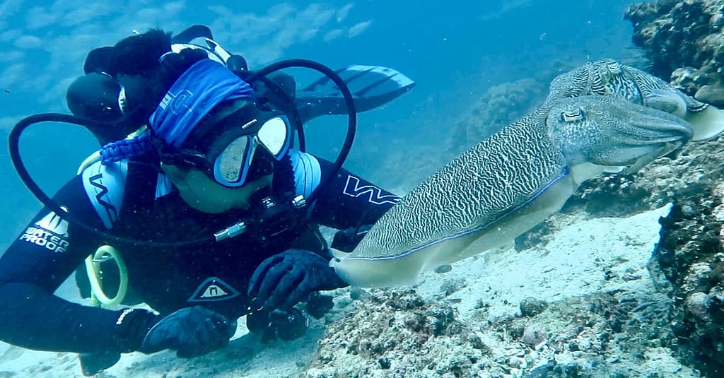 Diving Dubai activities Shop Online at Dubai Trades 8