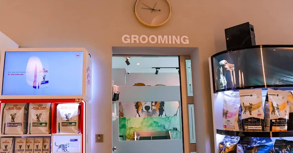 Dog / Cat Grooming From Best Veterinary Clinic In The Uae Award Winner Dubai other Shop Online at Dubai Trades 14