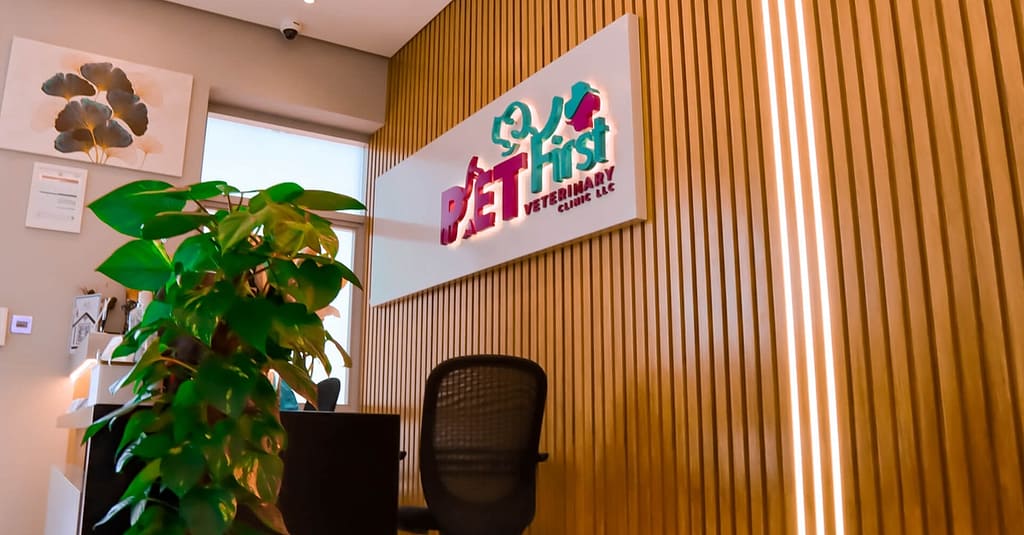 Dog / Cat Grooming From Best Veterinary Clinic In The Uae Award Winner Dubai other Shop Online at Dubai Trades 15