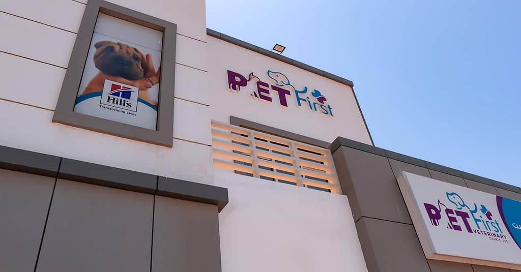 Dog / Cat Grooming From Best Veterinary Clinic In The Uae Award Winner Dubai other Shop Online at Dubai Trades 16