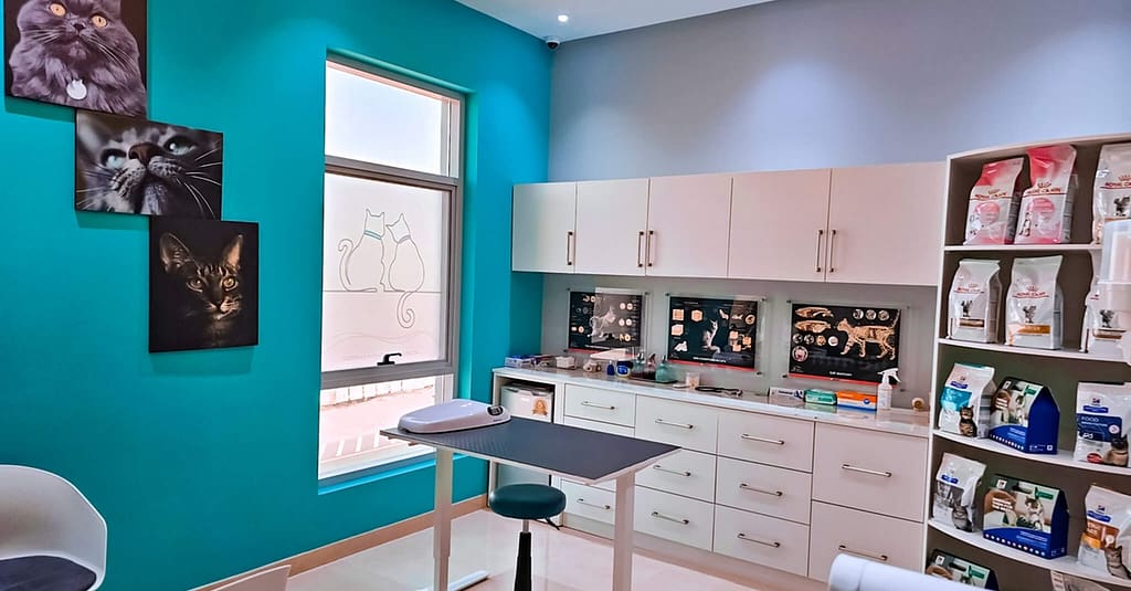 Dog / Cat Grooming From Best Veterinary Clinic In The Uae Award Winner Dubai other Shop Online at Dubai Trades 20