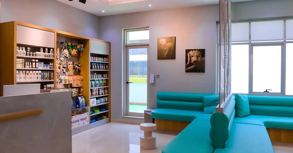 Dog / Cat Grooming From Best Veterinary Clinic In The Uae Award Winner Dubai other Shop Online at Dubai Trades 3