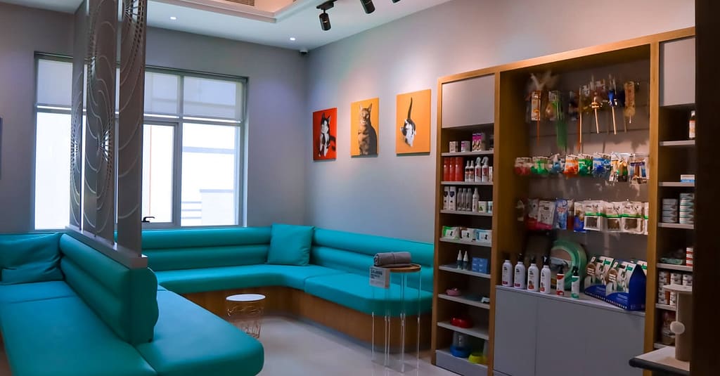 Dog / Cat Grooming From Best Veterinary Clinic In The Uae Award Winner Dubai other Shop Online at Dubai Trades 4