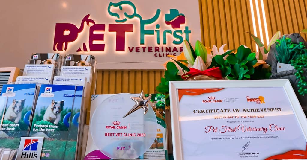 Dog / Cat Grooming From Best Veterinary Clinic In The Uae Award Winner Dubai other Shop Online at Dubai Trades 7