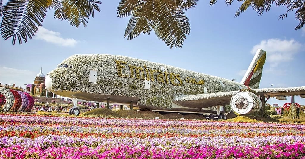 Dubai Frame, The Lost Chambers Aquarium, Wild Wadi Waterpark, & More! Dubai package Shop Online at Dubai Trades 11