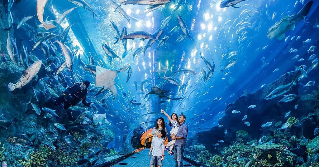 Dubai Frame, The Lost Chambers Aquarium, Wild Wadi Waterpark, & More! Dubai package Shop Online at Dubai Trades 5