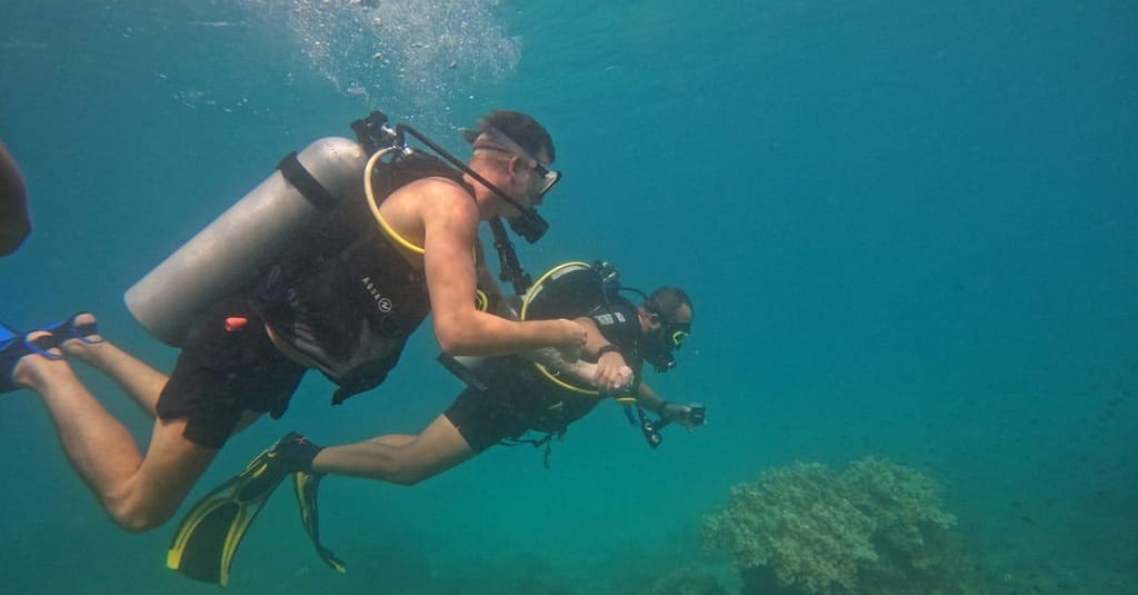 Embark On Adventure: Try Dive, Snorkeling Trip And Boat Trip Dubai activities Shop Online at Dubai Trades 14