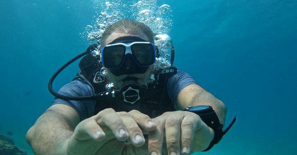 Embark On Adventure: Try Dive, Snorkeling Trip And Boat Trip Dubai activities Shop Online at Dubai Trades 5