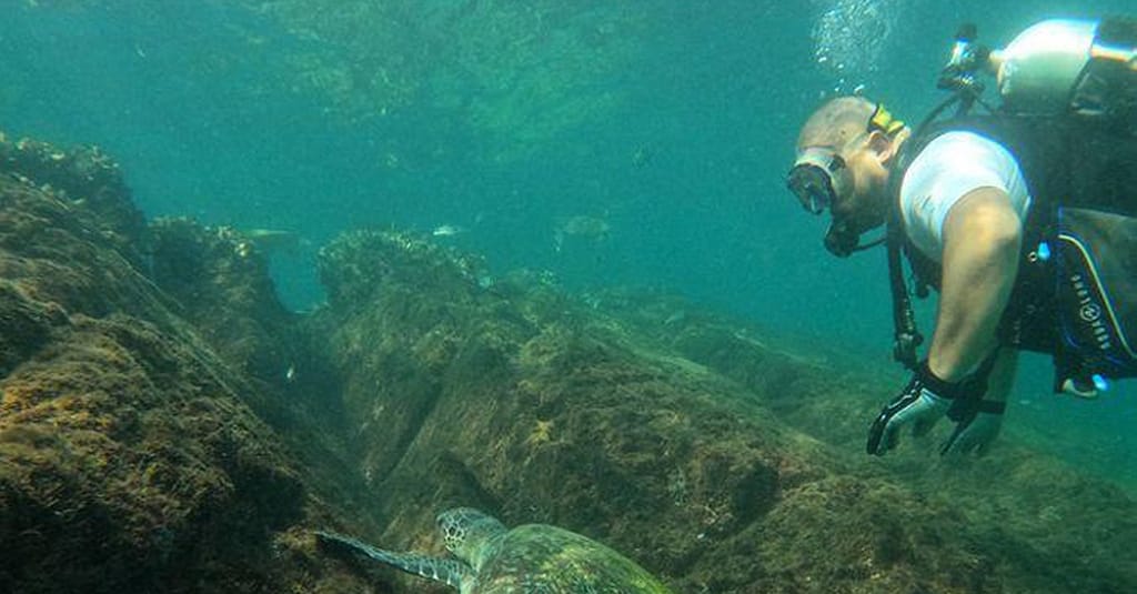 Embark On Adventure: Try Dive, Snorkeling Trip And Boat Trip Dubai activities Shop Online at Dubai Trades 7