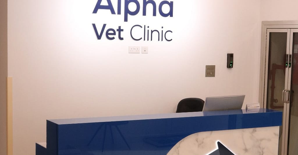 Ensure Your Pets Health With Annual Vaccination For Cat Or Dog! Dubai other Shop Online at Dubai Trades 5
