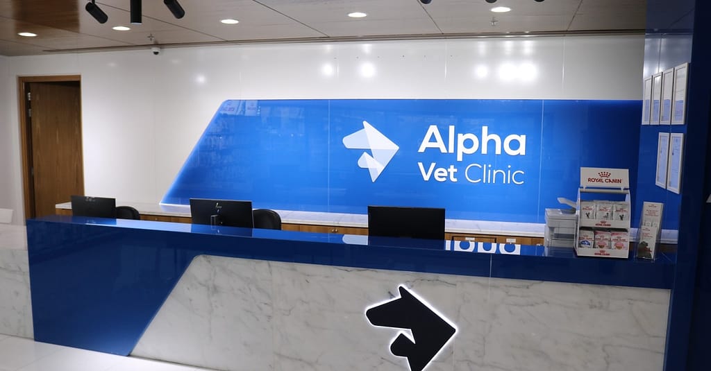 Ensure Your Pets Health With Annual Vaccination For Cat Or Dog! Dubai other Shop Online at Dubai Trades 6