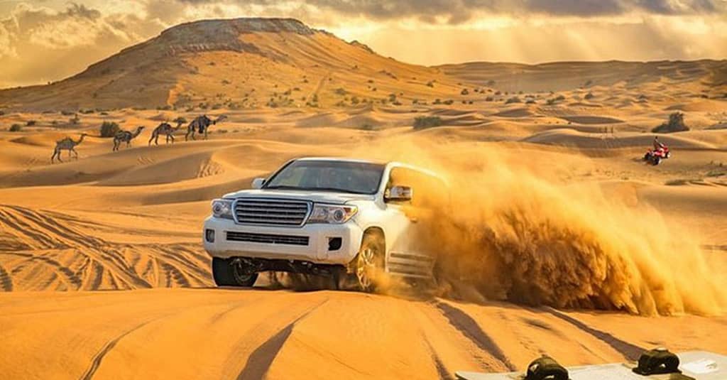 Evening Desert Safari For Up To Six People At Desert Lion Tourism Dubai package Shop Online at Dubai Trades 3