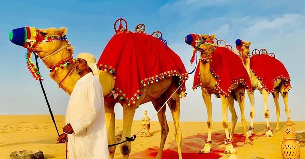 Evening Desert Safari With Optional Pick-Up For Up To Six Dubai package Shop Online at Dubai Trades 5