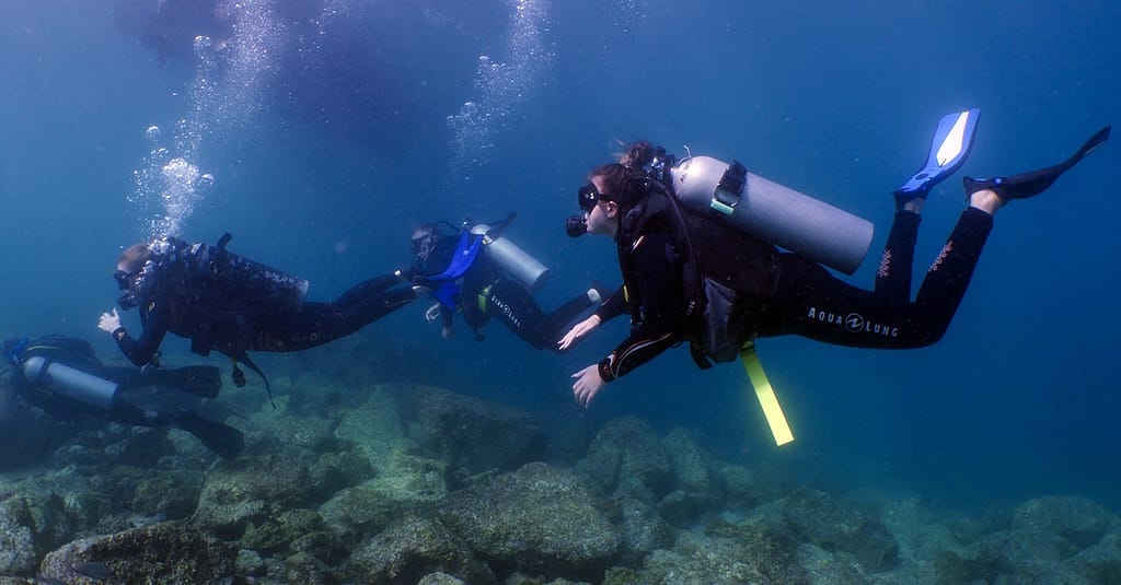 Experience Scuba Diving With Pool And Beach Dives! Dubai activities Shop Online at Dubai Trades 6