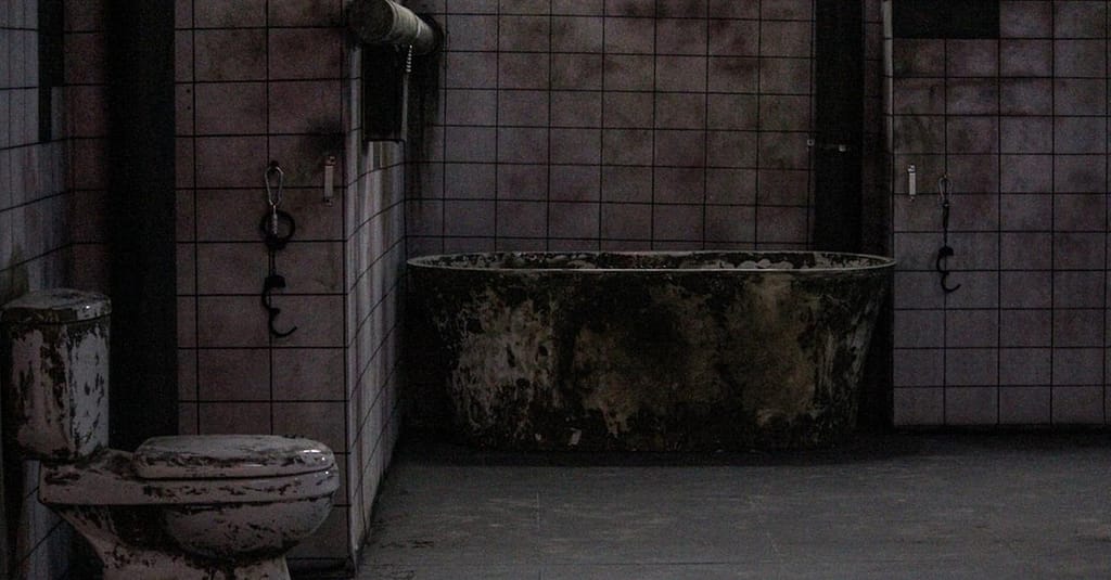 Experience The Ultimate Thrill: Dungeon Or Torture Escape Rooms Abu Dhabi activities Shop Online at Dubai Trades 5