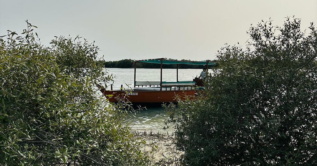 Explore Abu Dhabi In 1, 2, 3, Or 4 Hour Tours For Up To 12 Guests Abu Dhabi package Shop Online at Dubai Trades 9