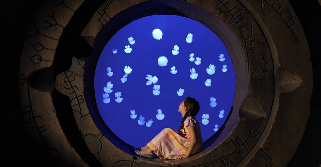 Explore Atlantis At The Lost Chambers Aquarium! Dubai activities Shop Online at Dubai Trades 4