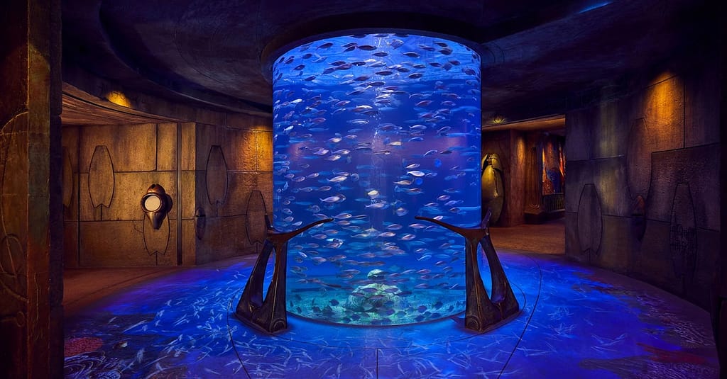 Explore Atlantis At The Lost Chambers Aquarium! Dubai activities Shop Online at Dubai Trades 7