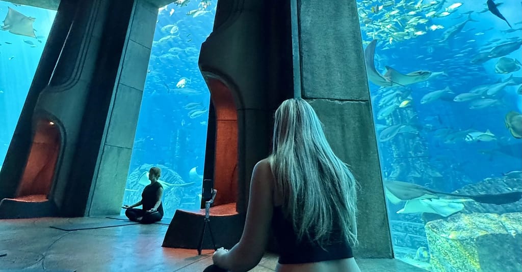 Explore Atlantis At The Lost Chambers Aquarium! Dubai activities Shop Online at Dubai Trades 8