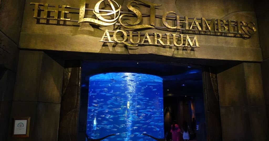 Explore Atlantis At The Lost Chambers Aquarium! Dubai activities Shop Online at Dubai Trades 9