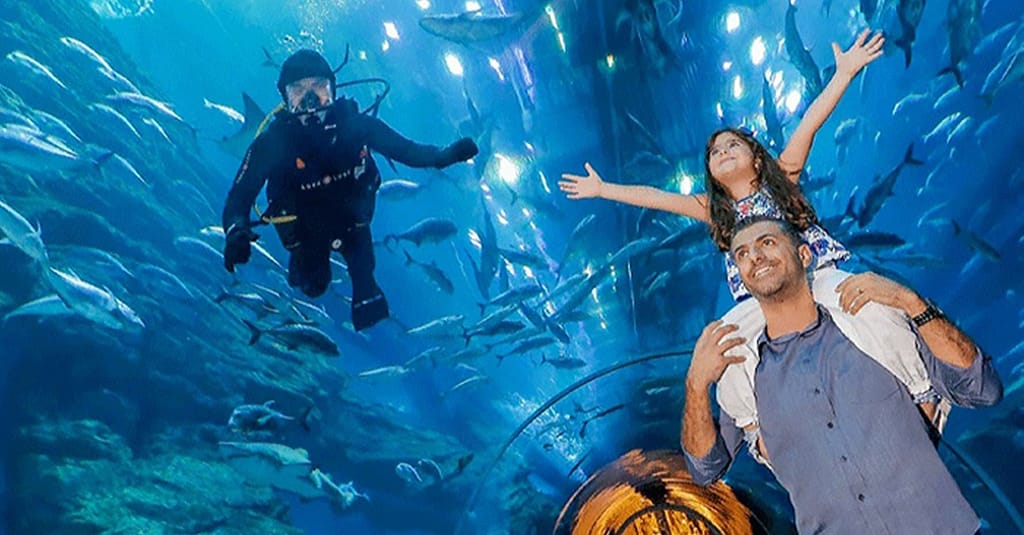 Explore Dubai Aquarium, Underwater Zoo And Penguin Cove Dubai activities Shop Online at Dubai Trades 5