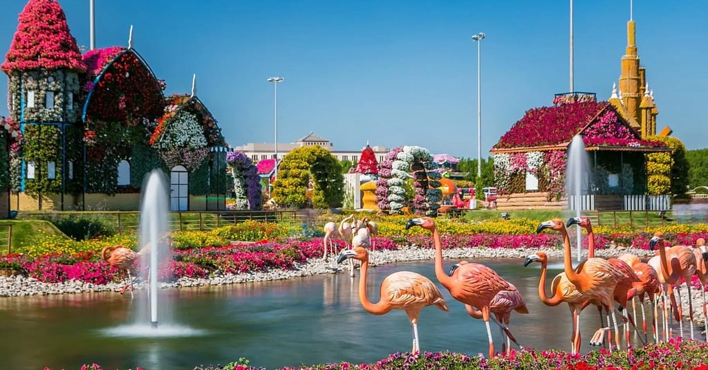 Explore Dubai Aquarium With Frame, Glow Garden, Aya Universe & More! Dubai activities Shop Online at Dubai Trades 13