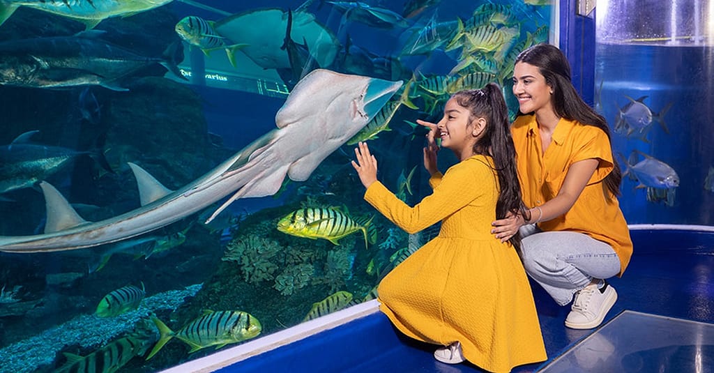 Explore Dubai Aquarium With Frame, Glow Garden, Aya Universe & More! Dubai activities Shop Online at Dubai Trades 6
