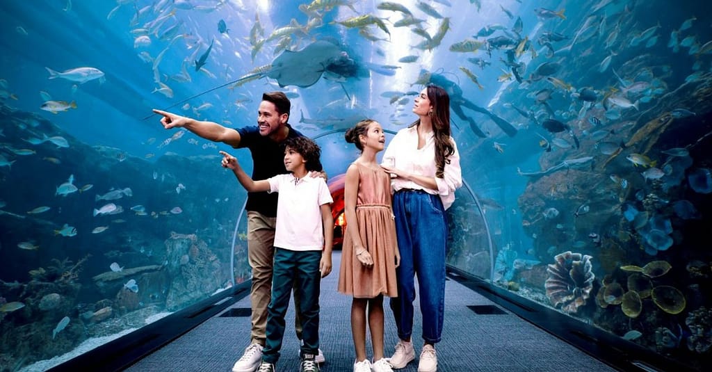 Explore Dubai Aquarium With Frame, Glow Garden, Aya Universe & More! Dubai activities Shop Online at Dubai Trades 9