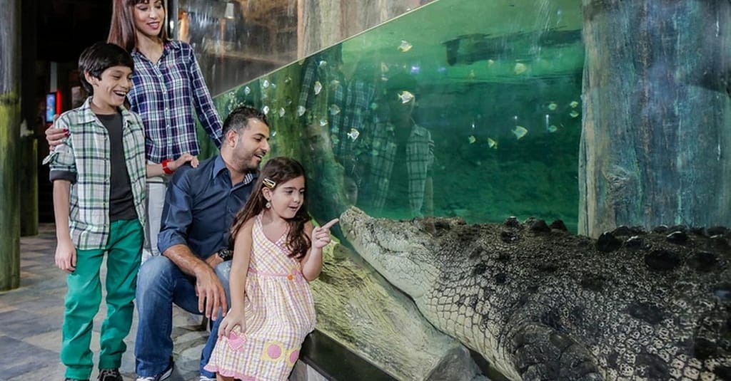 Explore Dubai Aquarium With Frame, Glow Garden, Aya Universe & More! Dubai activities Shop Online at Dubai Trades 10
