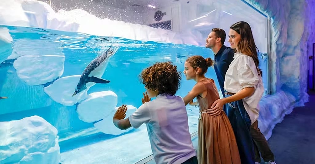Explore Dubai Aquarium With Frame, Glow Garden, Aya Universe & More! Dubai activities Shop Online at Dubai Trades 2