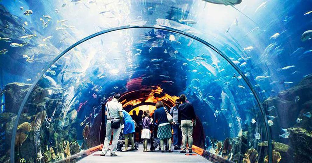 Explore Dubai’S Lost Chambers Aquarium: Tickets For One, Two, Or Four Dubai activities Shop Online at Dubai Trades 12