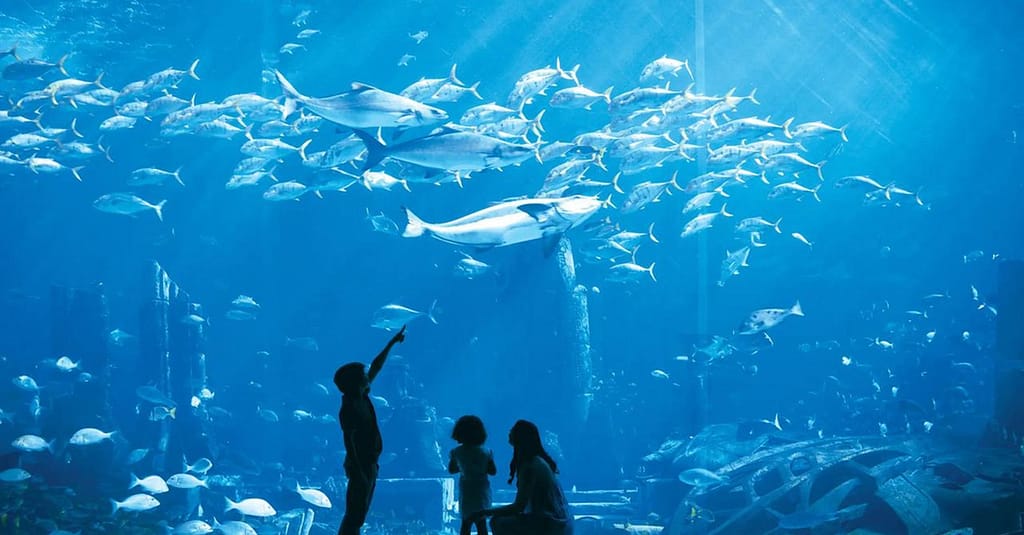 Explore Dubai’S Lost Chambers Aquarium: Tickets For One, Two, Or Four Dubai activities Shop Online at Dubai Trades 13