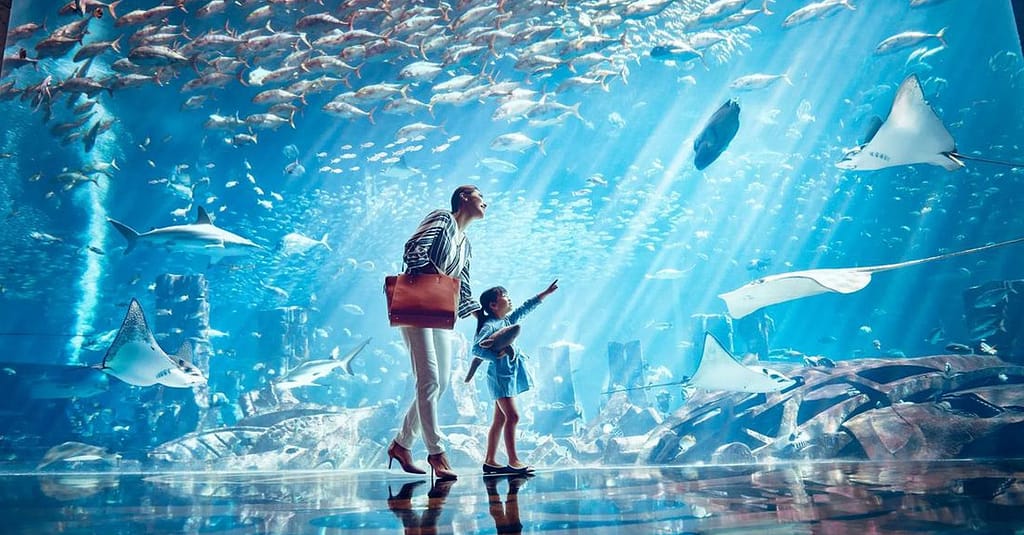Explore Dubai’S Lost Chambers Aquarium: Tickets For One, Two, Or Four Dubai activities Shop Online at Dubai Trades 14