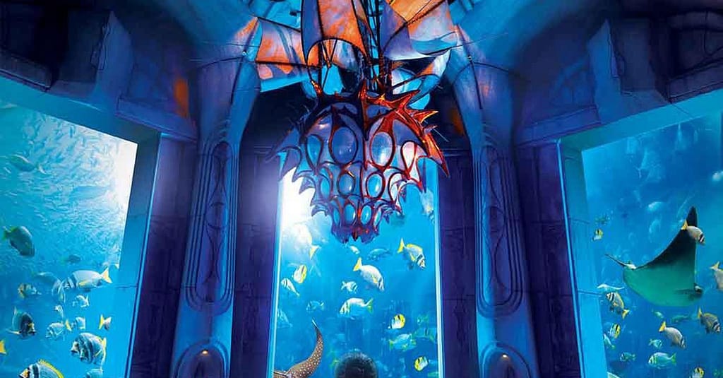 Explore Dubai’S Lost Chambers Aquarium: Tickets For One, Two, Or Four Dubai activities Shop Online at Dubai Trades 17