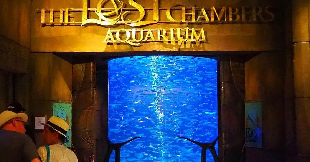 Explore Dubai’S Lost Chambers Aquarium: Tickets For One, Two, Or Four Dubai activities Shop Online at Dubai Trades 20