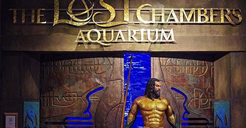Explore Dubai’S Lost Chambers Aquarium: Tickets For One, Two, Or Four Dubai activities Shop Online at Dubai Trades 21