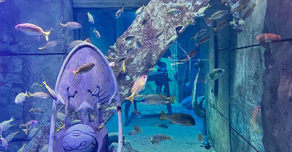 Explore Dubai’S Lost Chambers Aquarium: Tickets For One, Two, Or Four Dubai activities Shop Online at Dubai Trades 6