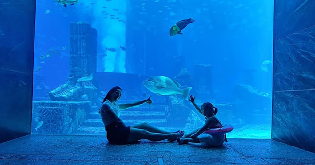 Explore Dubai’S Lost Chambers Aquarium: Tickets For One, Two, Or Four Dubai activities Shop Online at Dubai Trades 2