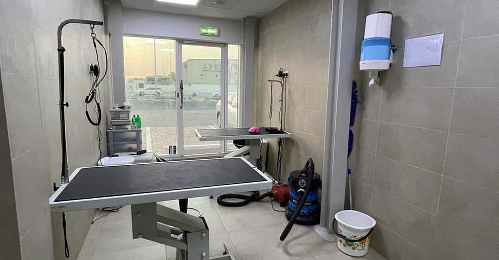 Extensive Pet Grooming Service Dubai other Shop Online at Dubai Trades 4