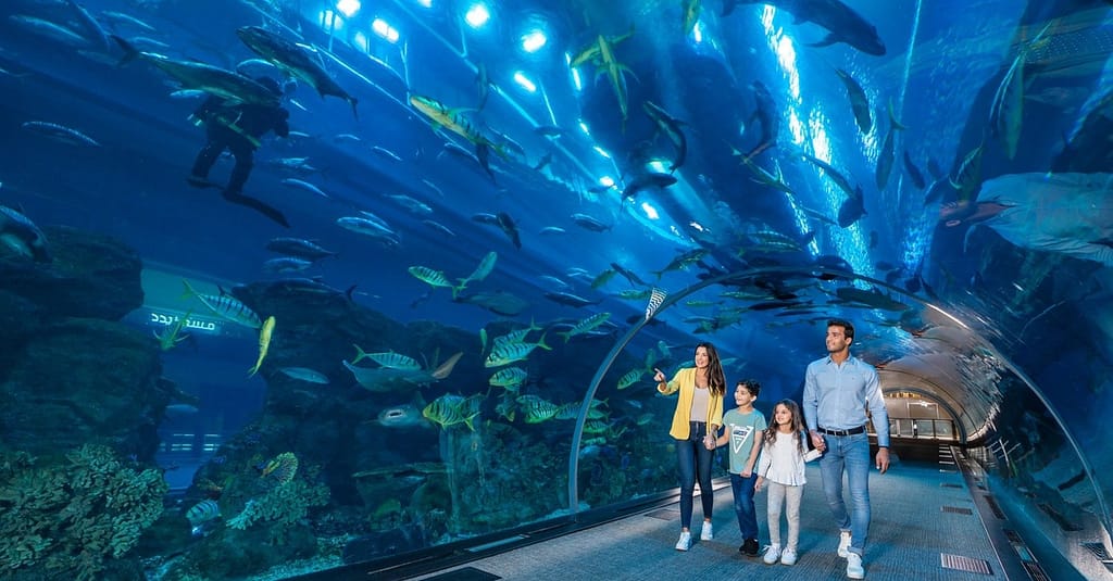 Fascinating Aquaventure Waterpark With Lost Chambers Aquarium National Deal activities Shop Online at Dubai Trades 7