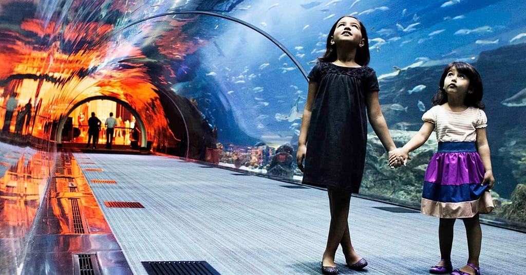 Fascinating Aquaventure Waterpark With Lost Chambers Aquarium National Deal activities Shop Online at Dubai Trades 8