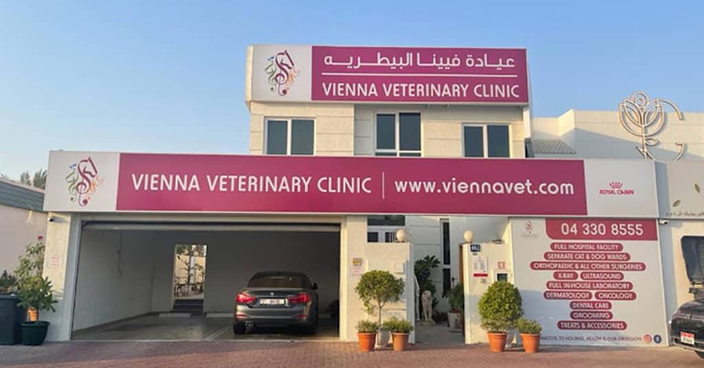 Fluff & Shine: Treat Your Pet To Luxury! Dubai other Shop Online at Dubai Trades 4