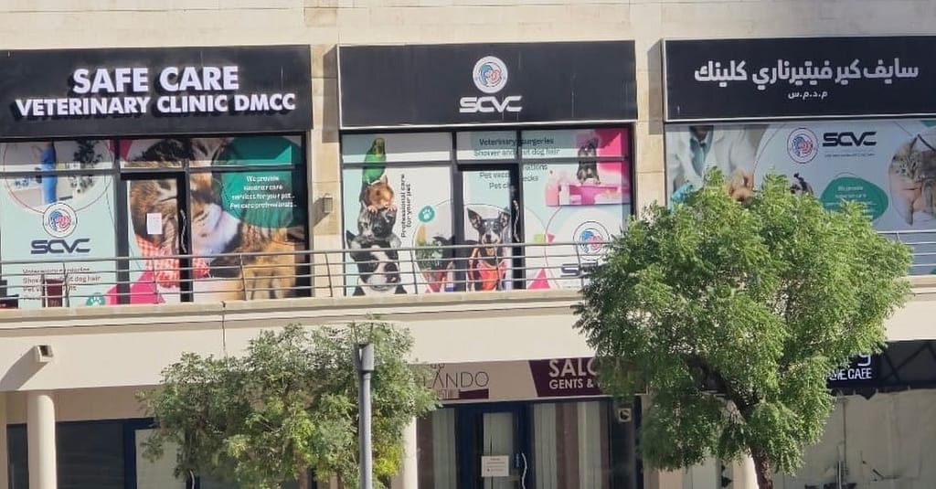 Full Cat And Dog Grooming In Jlt Dubai other Shop Online at Dubai Trades 6