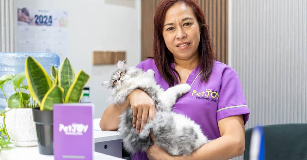 Full Dental Scaling For Pets At Pet Joy Veterinary Clinic Dubai other Shop Online at Dubai Trades 5