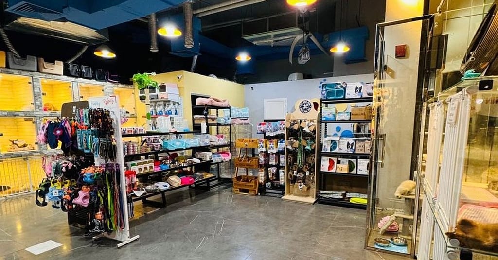 Full Grooming For Cats And Dogs To Keep Them Pampered! Dubai other Shop Online at Dubai Trades 3