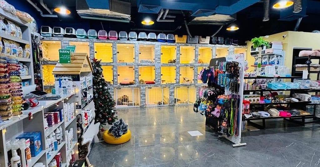 Full Grooming For Cats And Dogs To Keep Them Pampered! Dubai other Shop Online at Dubai Trades 4