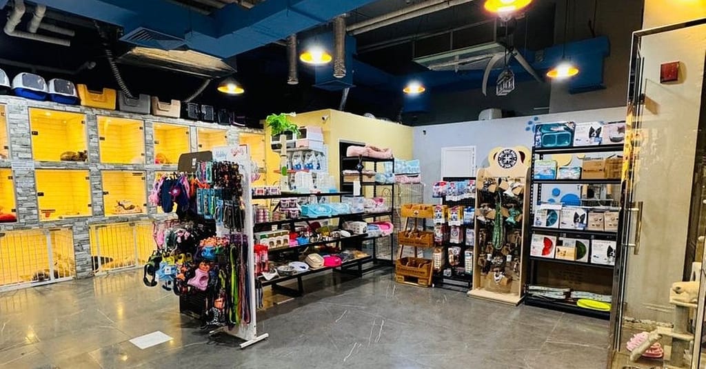 Full Grooming For Cats And Dogs To Keep Them Pampered! Dubai other Shop Online at Dubai Trades 6