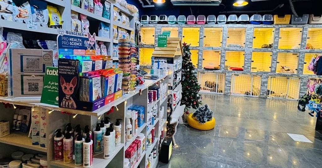 Full Grooming For Cats And Dogs To Keep Them Pampered! Dubai other Shop Online at Dubai Trades 7